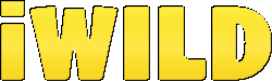 iWild Casino Logo